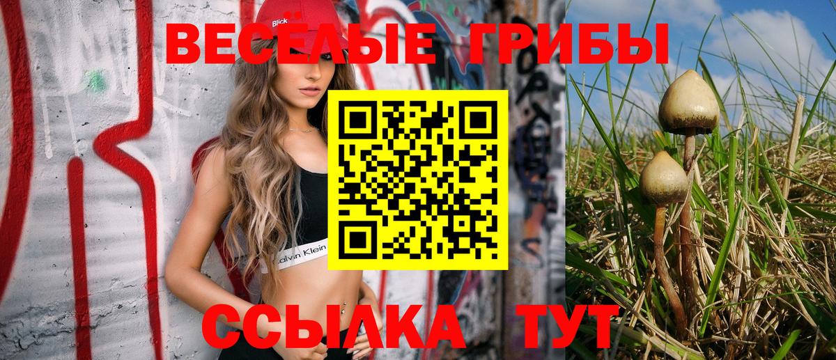 Галлюциногенные грибы Psilocybe Кропоткин