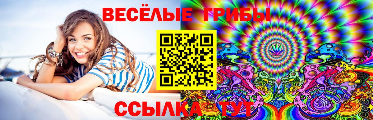Галлюциногенные грибы прущие грибы  Галлюциногенные грибы ЛСД  Кропоткин  Вход с VPN 
